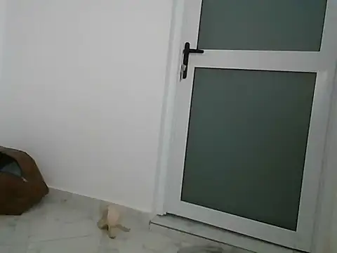 Snapshot of lugari chatting on December 2024 10:19:01 PM lugari online show from December 2024 10:19:01 PM