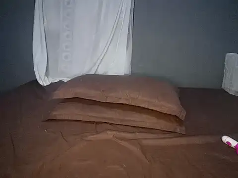 Snapshot of Loveshash1 chatting on December 2024 04:56:01 AM Loveshash1 online show from December 2024 04:56:01 AM