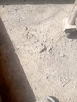 Kurtsikicixh online show from October 2025 09:32:01 AM