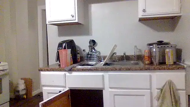 AllLeggs online show from December 2024 11:09:02 AM