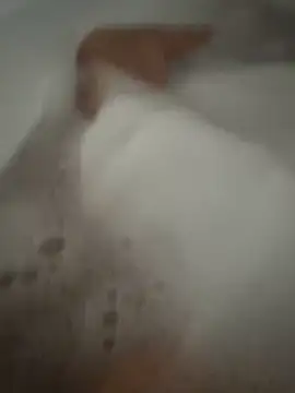 Snapshot of DevilFromHell6 chatting on February 2026 12:45:01 PM DevilFromHell6 online show from February 2026 12:45:01 PM