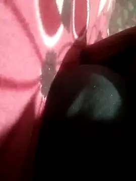 CoralNoise42 online show from February 2026 08:08:02 AM