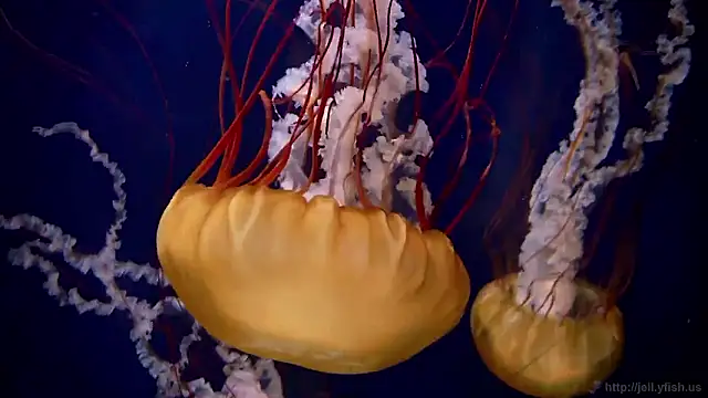 Snapshot of streamy_test15 chatting on November 2025 01:44:01 PM streamy test15 online show from November 2025 01:44:01 PM