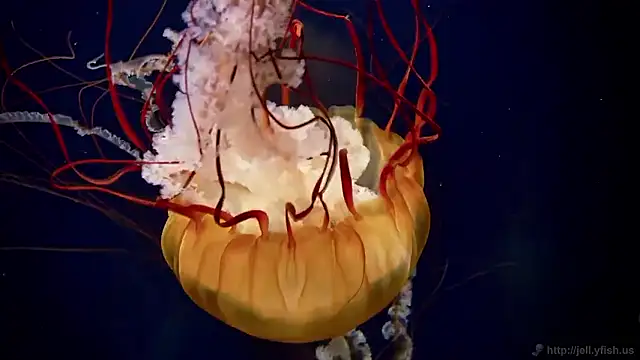 Snapshot of streamy_test15 chatting on December 2025 12:11:02 PM streamy test15 online show from December 2025 12:11:02 PM