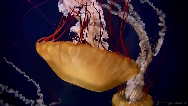 Snapshot of streamy_test15 chatting on February 2026 02:05:01 PM streamy test15 online show from February 2026 02:05:01 PM