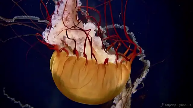 Snapshot of streamy_test15 chatting on February 2026 01:32:02 PM streamy test15 online show from February 2026 01:32:02 PM