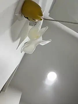 Snapshot of Amber_Rush_ chatting on September 2025 04:29:02 PM Amber Rush online show from September 2025 04:29:02 PM