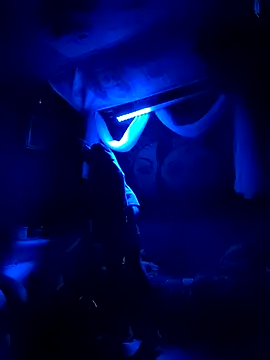 Snapshot of Gillygilly76 chatting on March 2025 11:41:01 AM Gillygilly76 online show from March 2025 11:41:01 AM