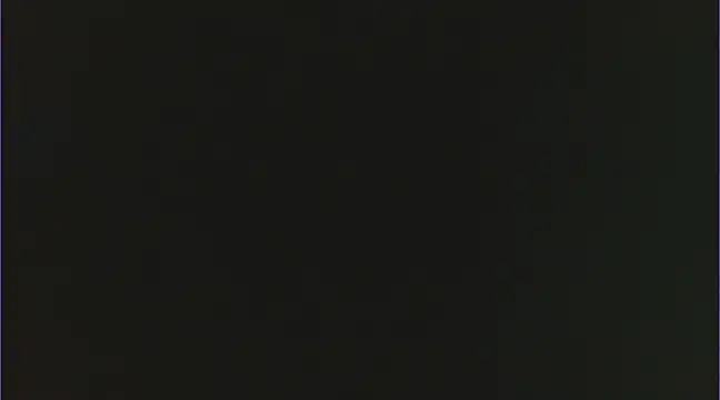 Geisha Seniers online show from February 2025 02:22:02 PM