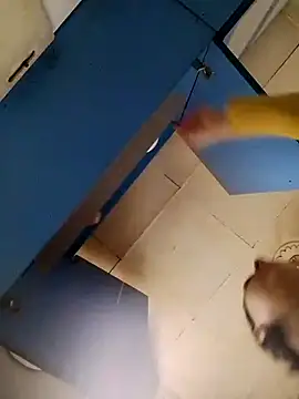 Gussie Bridie online show from October 2025 04:53:01 AM