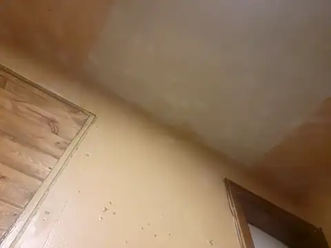 BigDDave6979 online show from March 2025 07:42:02 AM