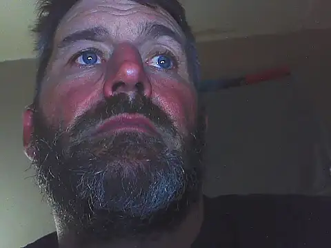 pipeload1275 online show from November 2025 08:05:02 AM