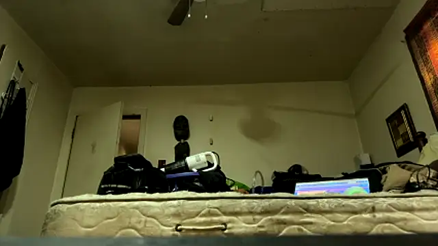 pipeload1275 online show from April 2026 09:46:01 PM