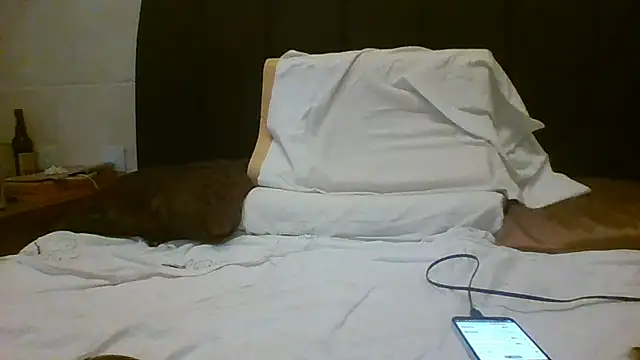 Denisilboss online show from March 2026 03:50:01 PM