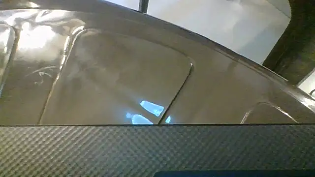 pamela tcw online show from February 2026 12:32:01 AM