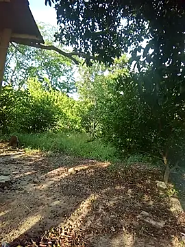 natally ross21 online show from February 2026 12:43:02 PM