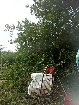 natally ross21 online show from March 2026 01:16:02 PM