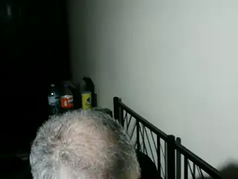 100Tauros online show from February 2026 10:36:01 PM