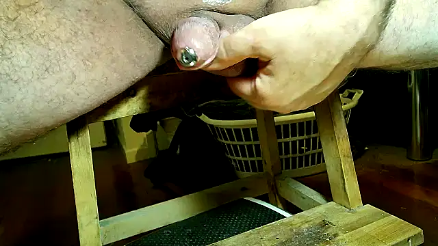 CBT FUN TIME online show from December 2024 03:29:02 AM