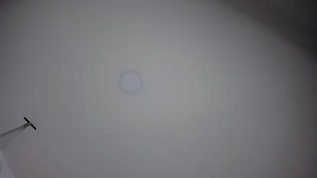 ChloeConnorr online show from December 2024 10:23:02 PM