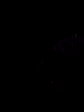 Snapshot of StaciGoodman chatting on February 2025 01:44:02 AM StaciGoodman online show from February 2025 01:44:02 AM