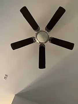 goldbuni online show from December 2024 11:03:02 PM