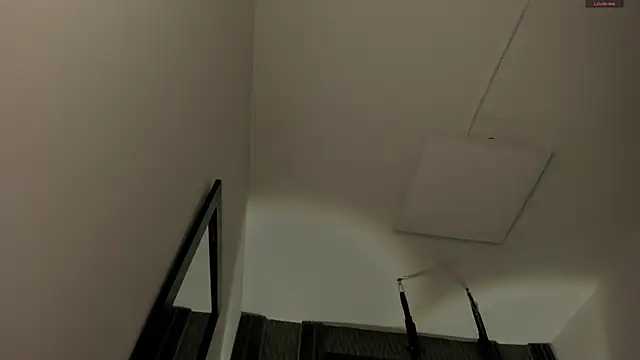 selene red  online show from November 2025 03:16:02 PM