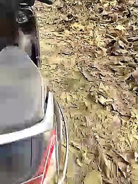 88karan88 online show from December 2024 04:44:01 AM