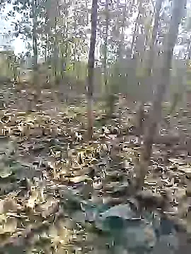 88karan88 online show from December 2024 04:58:02 AM