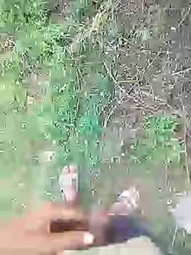 88karan88 online show from January 2025 09:03:01 AM