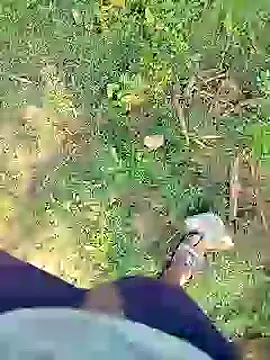 88karan88 online show from January 2025 03:37:02 AM