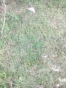 88karan88 online show from February 2025 10:28:02 AM