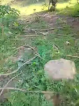 88karan88 online show from February 2025 03:55:02 AM