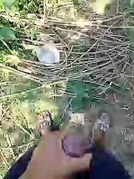 88karan88 online show from February 2025 06:58:02 AM