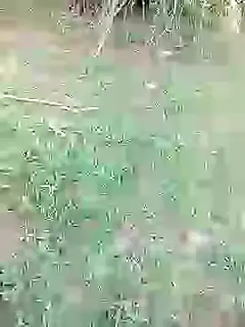 88karan88 online show from February 2025 10:58:02 AM