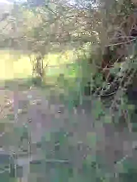 88karan88 online show from February 2025 03:47:02 AM