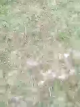 88karan88 online show from February 2025 11:20:02 AM