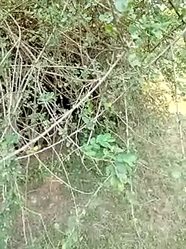 88karan88 online show from March 2025 10:24:02 AM