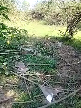 88karan88 online show from March 2025 05:09:01 AM