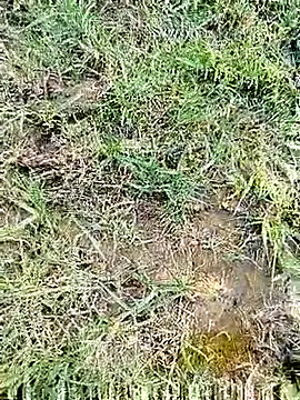 88karan88 online show from March 2025 11:22:02 AM