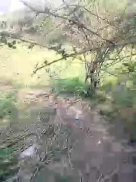 88karan88 online show from March 2025 04:38:02 AM