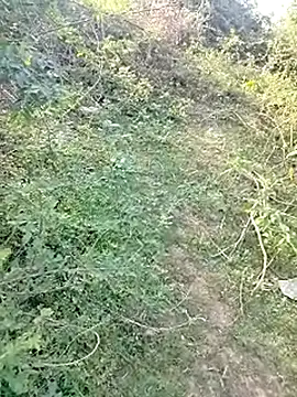 88karan88 online show from March 2025 10:46:01 AM