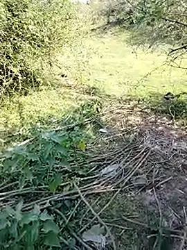 88karan88 online show from March 2025 04:43:02 AM