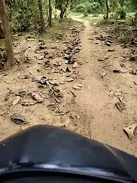 88karan88 online show from October 2025 04:48:01 AM