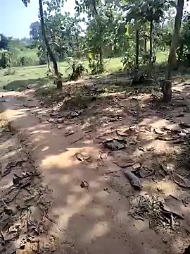 88karan88 online show from November 2025 05:08:02 AM