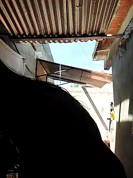 room 24funn online show from October 2025 02:59:01 PM