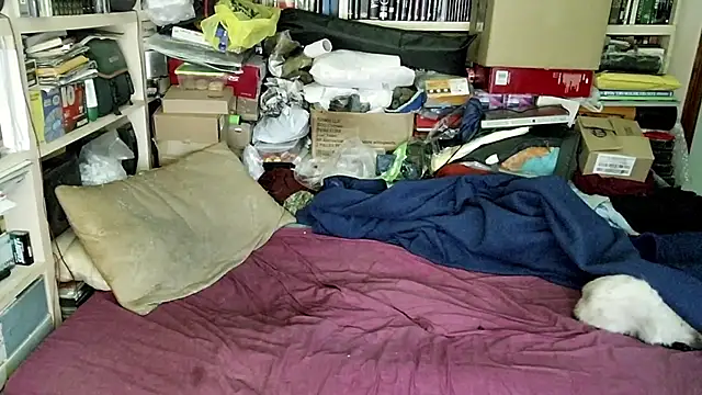 hadeszeuss2 online show from February 2025 05:48:02 PM