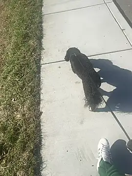 Esauhot online show from February 2025 08:25:01 PM