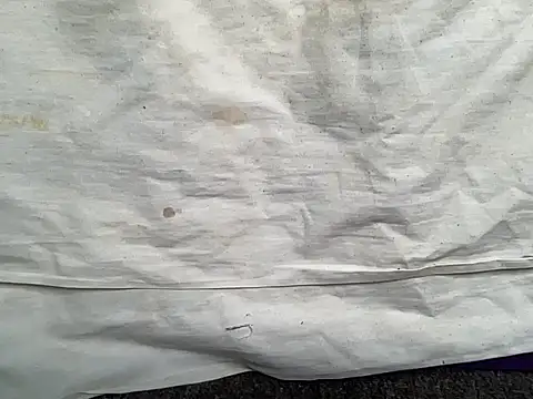 Snapshot of beforeyou69 chatting on January 2025 01:42:01 PM beforeyou69 online show from January 2025 01:42:01 PM