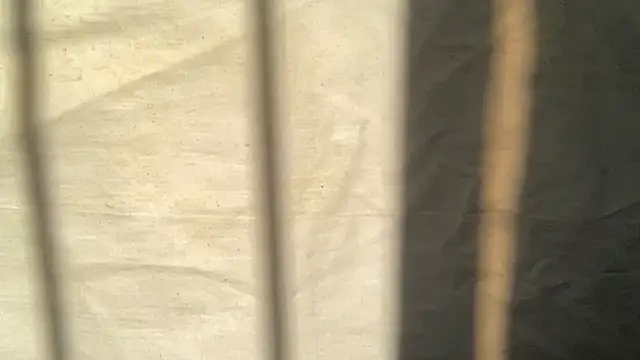 Snapshot of beforeyou69 chatting on November 2025 08:04:01 AM beforeyou69 online show from November 2025 08:04:01 AM